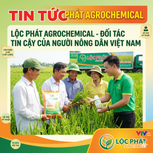 loc-phat-agrochemical-doi-tac-tin-cay-dong-hanh-cung-nong-dan-viet-nang-tam-nong-san