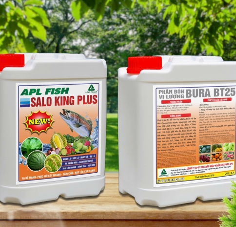 Salo King Plus