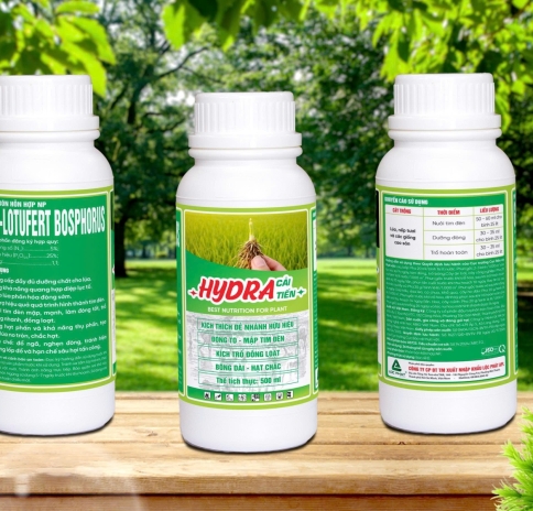Hydra Cải tiến