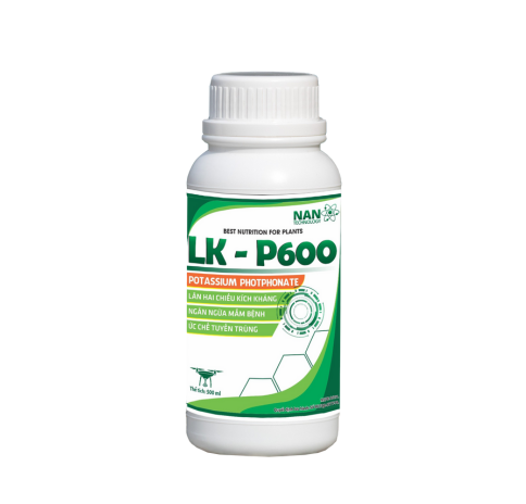 LK - P600