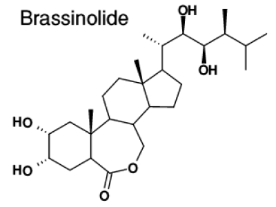 cong thuc hoa hoc brassinolide